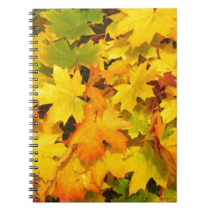 Herbst-Blatt färbt Baum-Party-Schicksals-Feier Notizblock