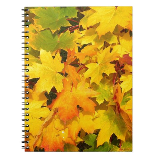 Herbst-Blatt färbt Baum-Party-Schicksals-Feier Notizblock (Vorderseite)