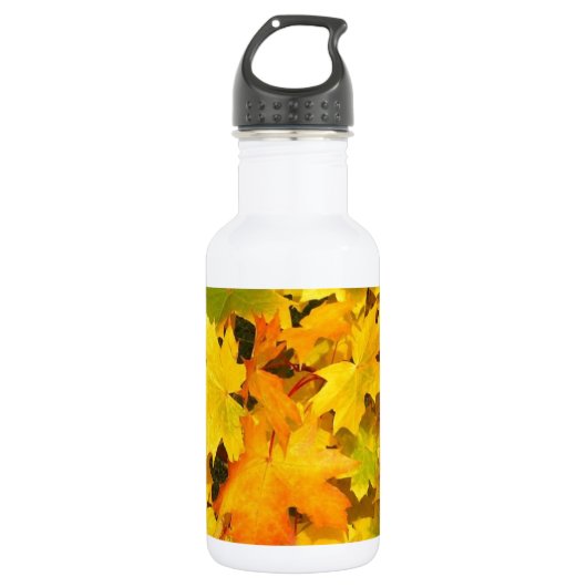 Herbst-Blatt färbt Baum-Party-Schicksals-Feier Trinkflasche (Vorderseite)