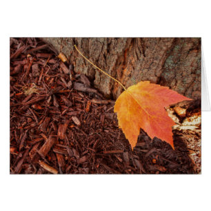 Herbst-Blatt-leere Karte