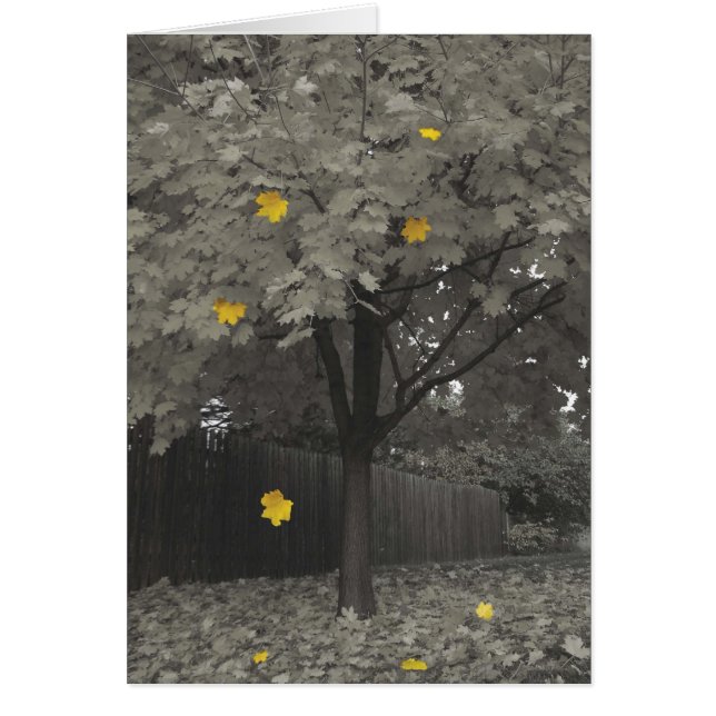 Herbst-Blätter (Vorne)