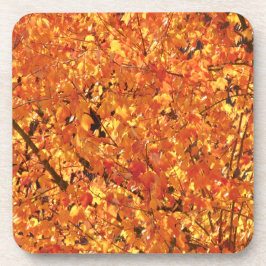 Herbst Blätter auf Baum - Foto. Getränkeuntersetzer