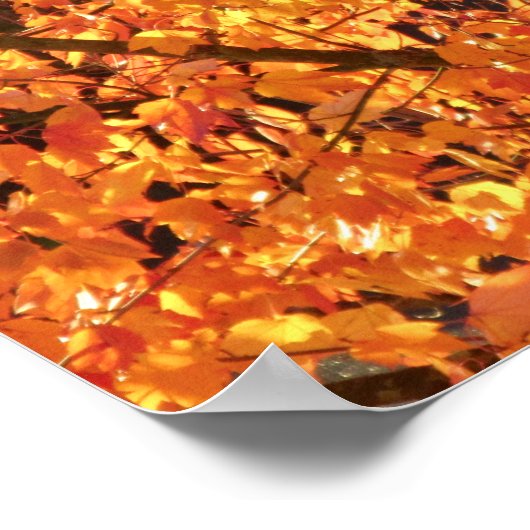 Herbst Blätter auf Baum - Foto. Poster (Ecke)