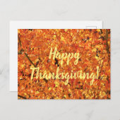 Herbst Blätter auf Baum - Foto. Postkarte (Vorne/Hinten)