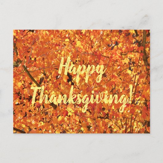 Herbst Blätter auf Baum - Foto. Postkarte (Vorderseite)