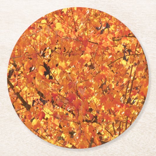 Herbst Blätter auf Baum - Foto. Runder Pappuntersetzer (Vorderseite)
