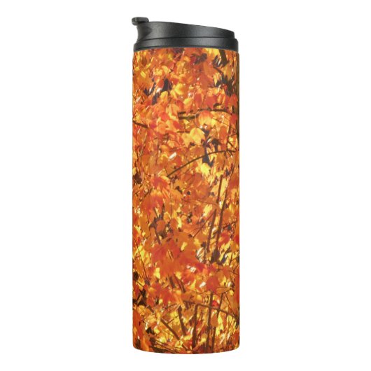 Herbst Blätter auf Baum - Foto. Thermosbecher (Nach rechts gedreht)