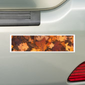 Herbst-Blätter Autoaufkleber (Auf Auto)