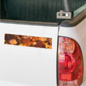 Herbst-Blätter Autoaufkleber (Auf Lkw)
