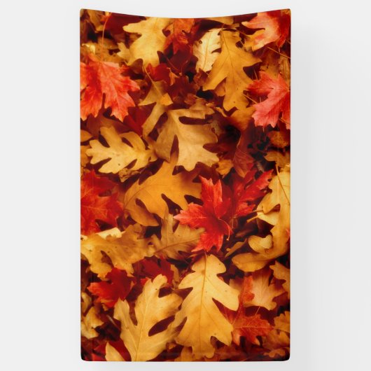 Herbst-Blätter - Fall-Farbe Banner (Vertikal)