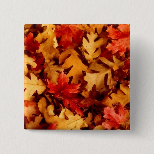 Herbst-Blätter - Fall-Farbe Button (Vorderseite)