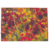 Herbst-Blätter-Fall-Farbrot-Natur Große Geschenktüte (Rückseite)