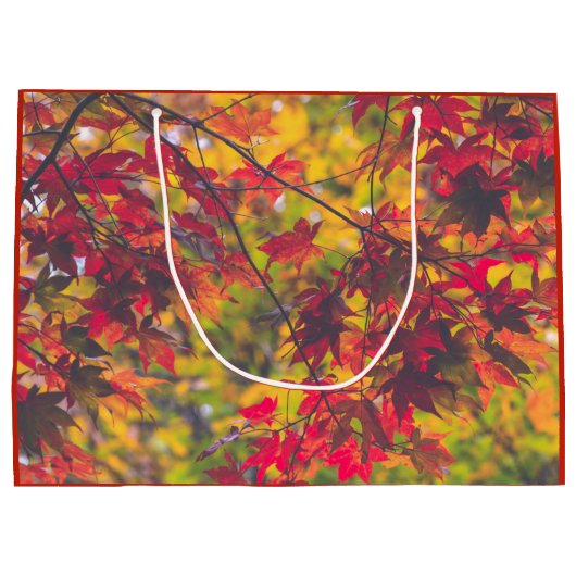 Herbst-Blätter-Fall-Farbrot-Natur Große Geschenktüte (Rückseite)