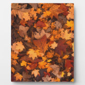 Herbst-Blätter Fotoplatte (Vorderseite)