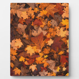 Herbst-Blätter Fotoplatte