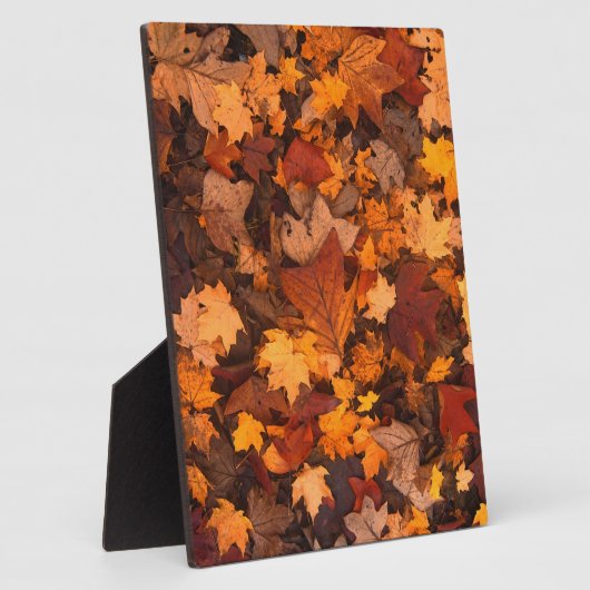 Herbst-Blätter Fotoplatte (Seite)