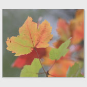 Herbst-Blätter Geschenkpapier (Flach)