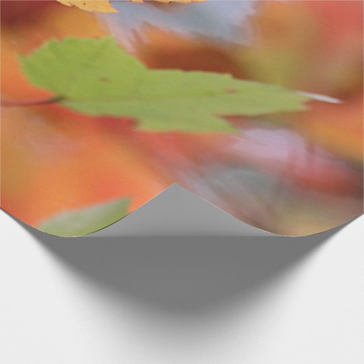 Herbst-Blätter Geschenkpapier (Ecke)