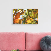 Herbst-Blätter Herbst Blätter Naturbaum Fotografie Leinwanddruck (Insitu (Wohnzimmer))