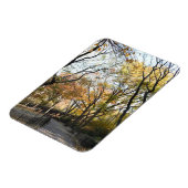 Herbst-Blätter Herbst Blätter Naturbaum Fotografie Magnet (Linke Seite)