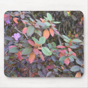 Herbst-Blätter Herbst Blätter Naturbaum Fotografie Mousepad
