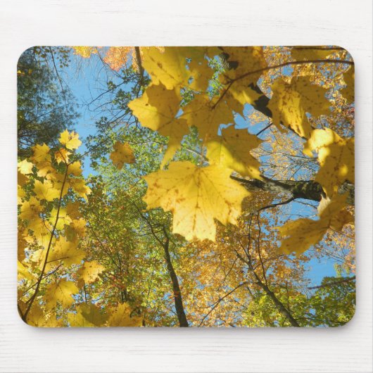 Herbst-Blätter im Himmel Mousepad (Vorne)
