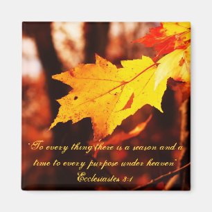 Herbst-Blätter im Poconos Magneten Magnet