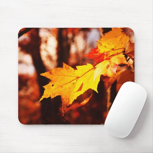 Herbst-Blätter im Poconos Mousepad (Mit Mouse)
