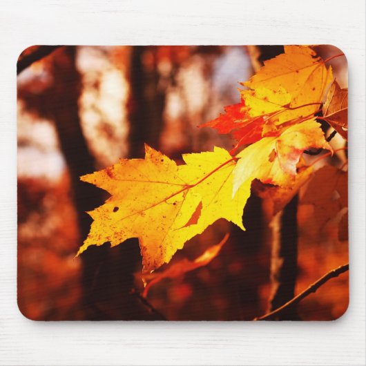 Herbst-Blätter im Poconos Mousepad (Vorne)