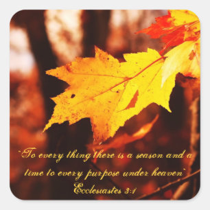 Herbst-Blätter in den Poconos Aufklebern Quadratischer Aufkleber