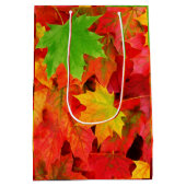 Herbst-Blätter Mittlere Geschenktüte (Rückseite)