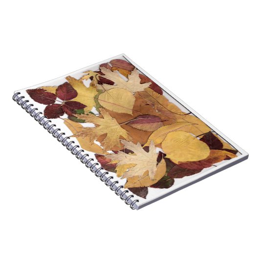 Herbst-Blätter Notizblock (Rechte Seite)