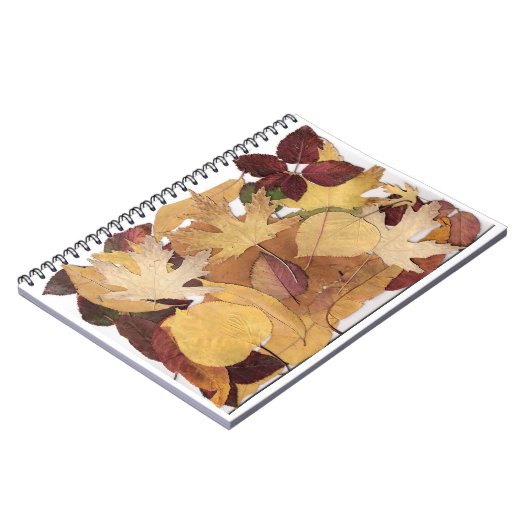 Herbst-Blätter Notizblock (Linke Seite)