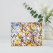 Herbst-Blätter Postkarte (Stehend Vorderseite)