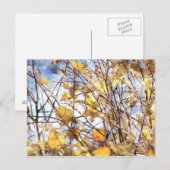 Herbst-Blätter Postkarte (Vorne/Hinten)