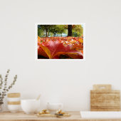 Herbst-Blätterkunstdrucke Fall-Baumnaturgewohnheit Poster (Küche)