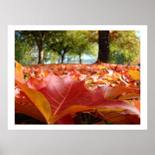 Herbst-Blätterkunstdrucke Fall-Baumnaturgewohnheit Poster (Vorne)