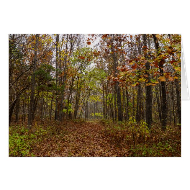Herbst Bliss (Vorderseite (Horizontal))