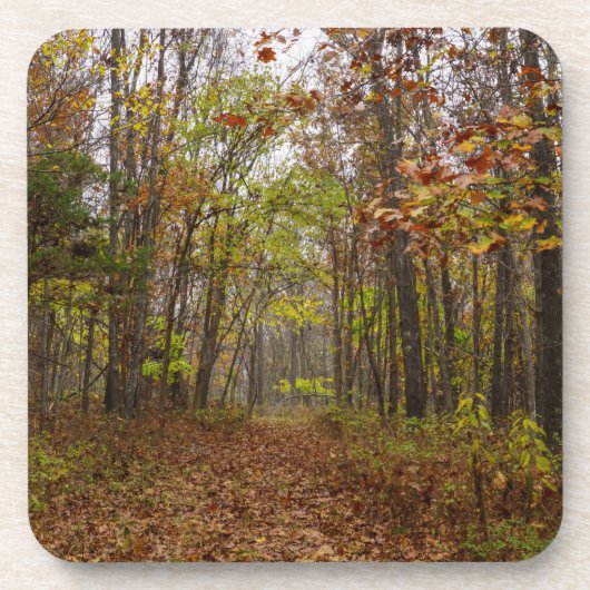 Herbst Bliss Getränkeuntersetzer (Vorderseite)