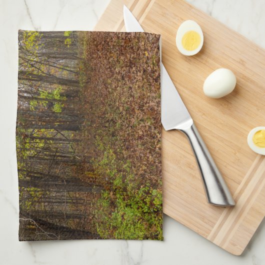 Herbst Bliss Küchentuch (Viertel Falte)