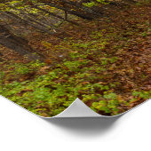 Herbst Bliss Poster (Ecke)