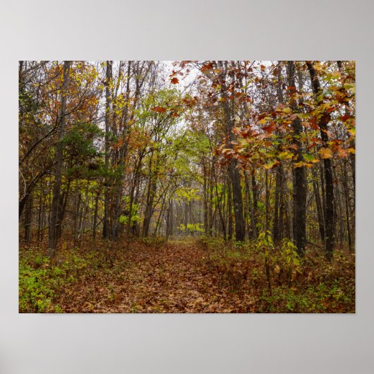 Herbst Bliss Poster (Vorne)