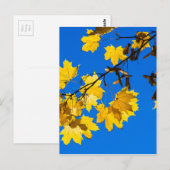 Herbst-Blues Postkarte (Vorne/Hinten)