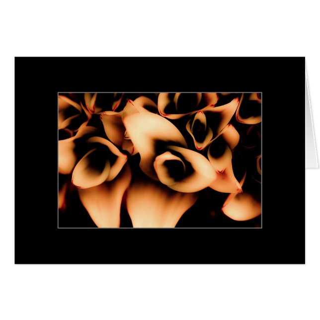 Herbst-blühende Pflanzen (Vorderseite (Horizontal))