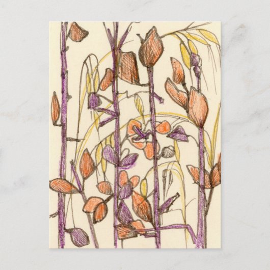 Herbst-Blume Pflanze Herbstfarben Farbe Zeichnend Postkarte (Vorderseite)