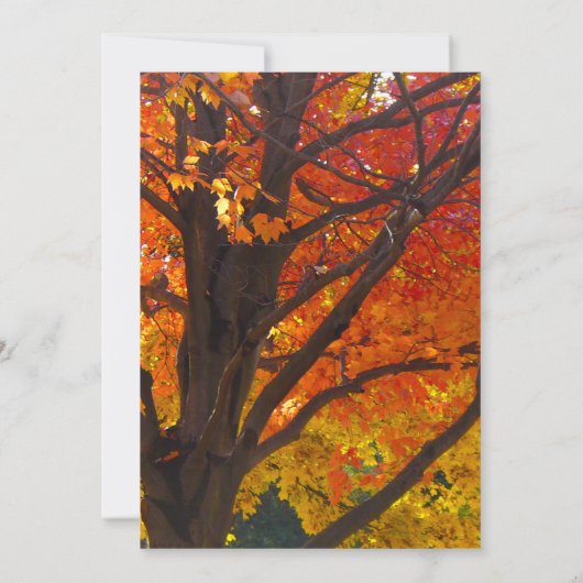 Herbst bringt Bridal-Dusche zur Einladung (Rückseite)