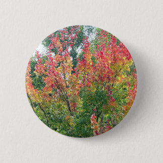 Herbst-Button Button