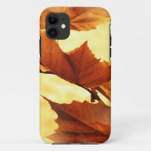 Herbst Case-Mate iPhone Hülle (Rückseite)