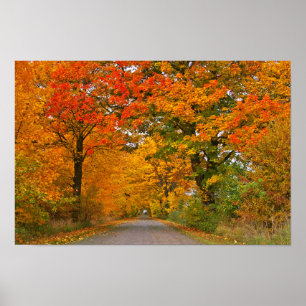 Herbst colorfull poster