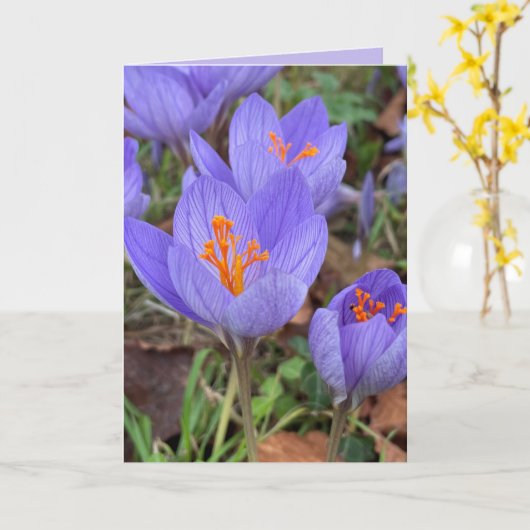 Herbst-Crocus-Blank-Begrüßung Karte (Gelbe Blume)